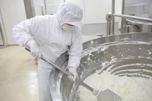 チーズのミンチ作業、釜配合、かき出しの作業風景（神戸市西区）